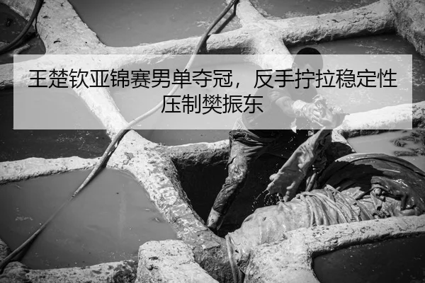 王楚钦亚锦赛男单夺冠，反手拧拉稳定性压制樊振东