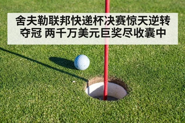 舍夫勒联邦快递杯决赛惊天逆转夺冠 两千万美元巨奖尽收囊中